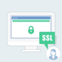 专业级DV SSL证书